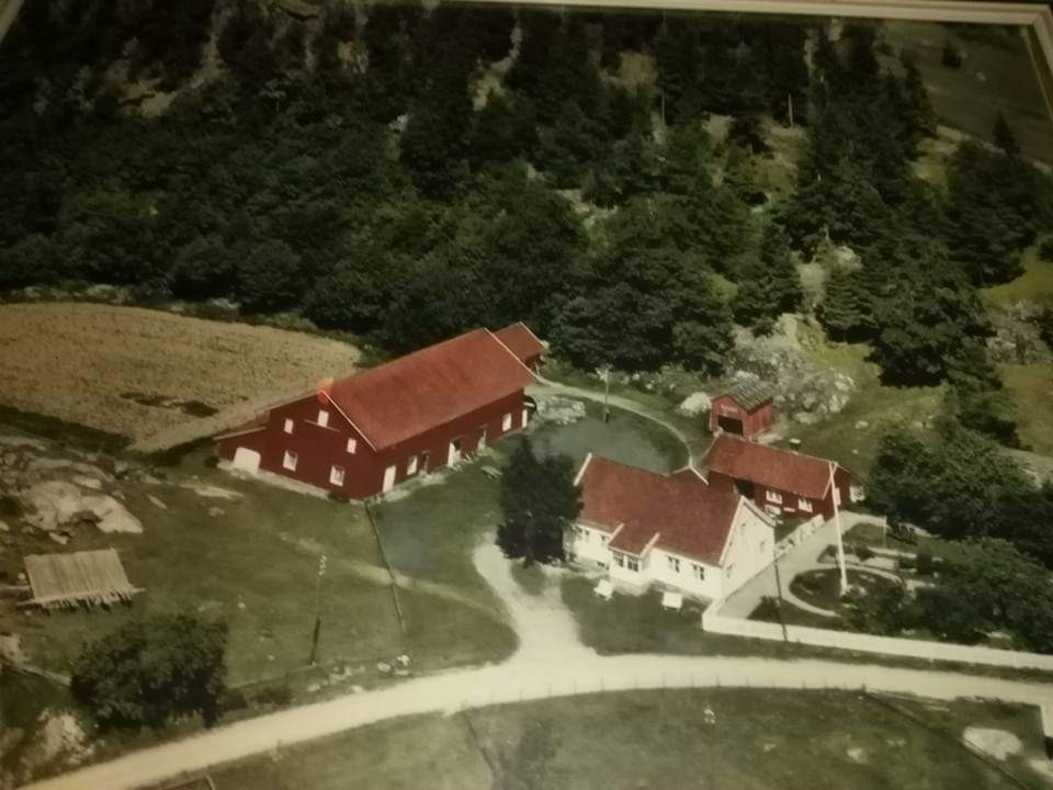 Artikkelserie av medlemmer