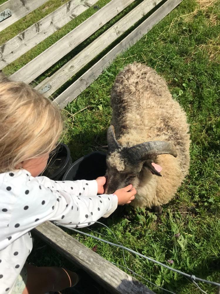 STRIKKEKAFE 10.02.22 KL 18.30