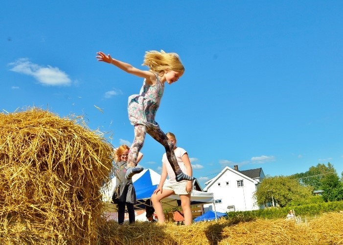 Barnas dag/Åpen gård 31.07.22
